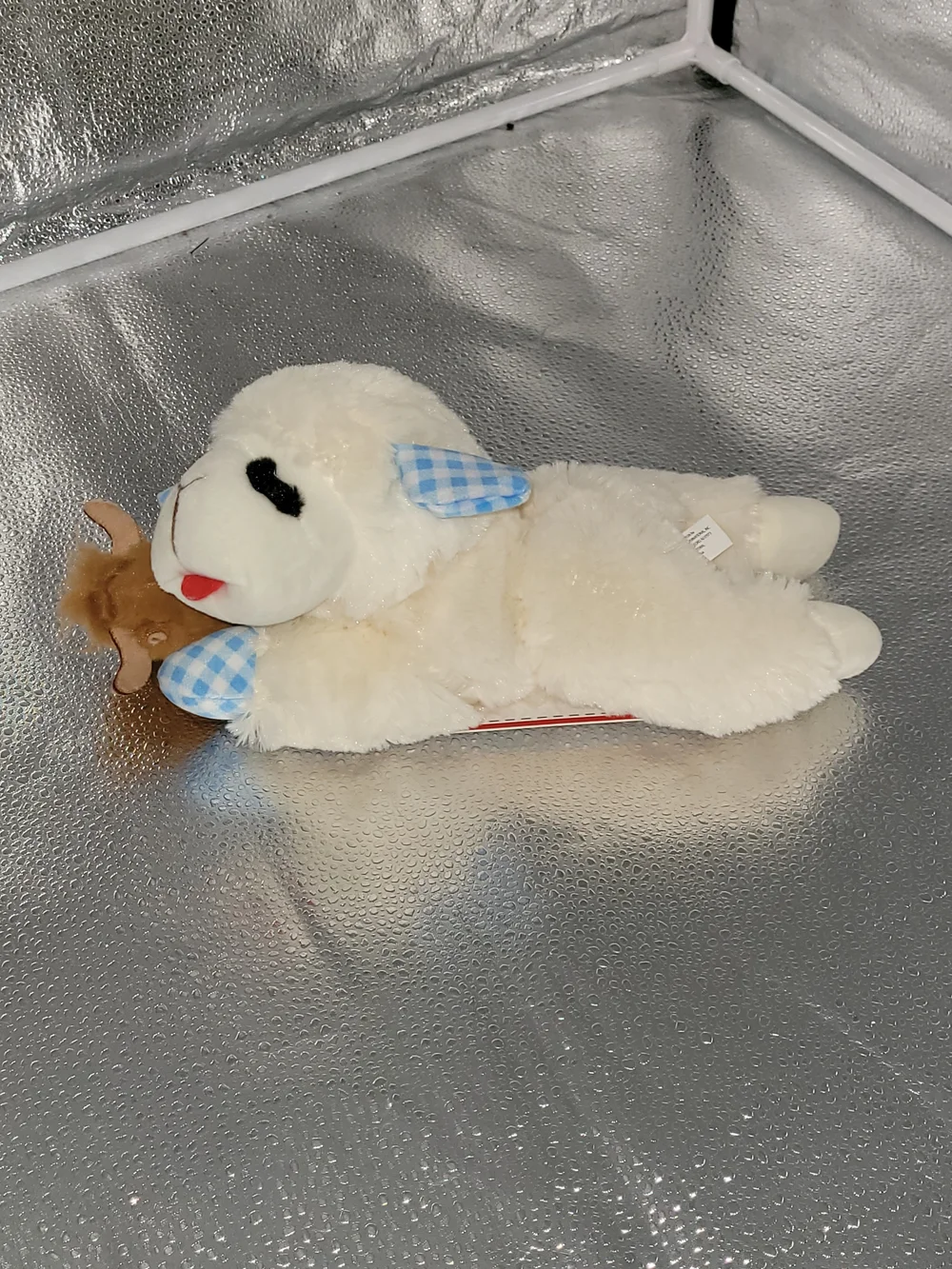 Plush Lamb Chop Dog Toy with Blue Gingham Accents